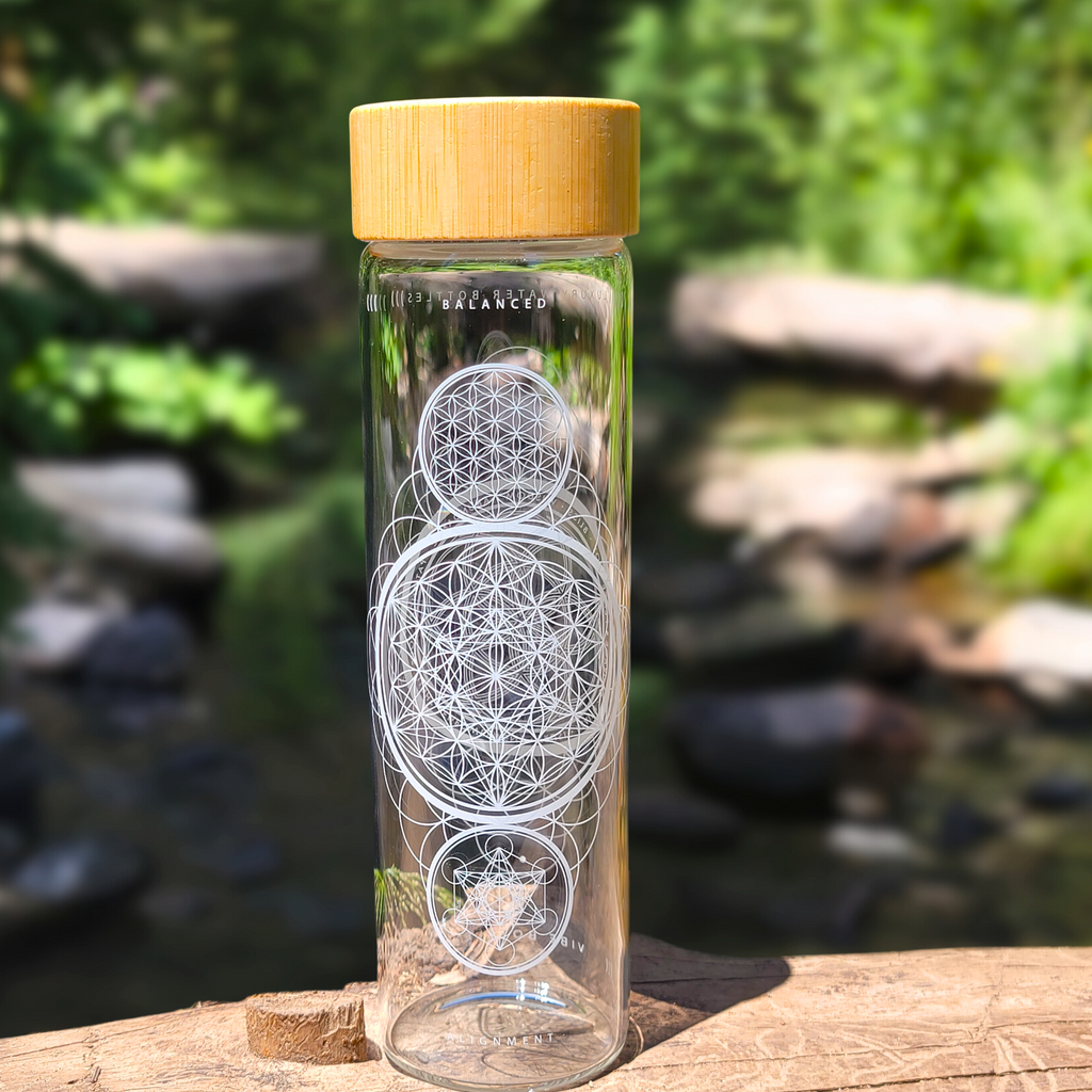 VIBE BOTTLES | ALIGNMENT | 20 OZ.